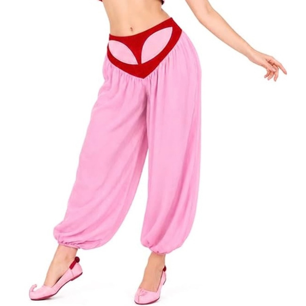 Genie Harem Pants Pink Red Velour Chiffon Women's Size 3XL Cosplay Anime Manga